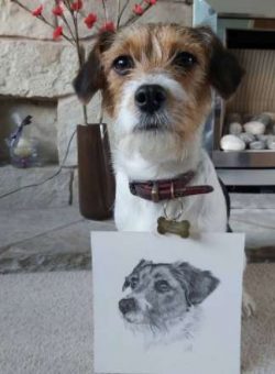 You’ll want to commit to weekly brushing sessions, and feel free to up the frequency durin ...