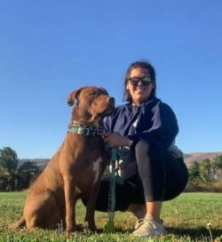 Like every dog, the Chessie needs early socialization — exposure to many different people, place ...