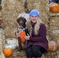 Chesapeake Bay Retrievers are not recommended for inexperienced or first-time dog owners. 