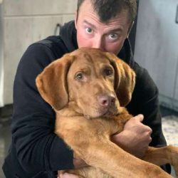 Chesapeake Bay Retrievers may be combative toward other dogs. 