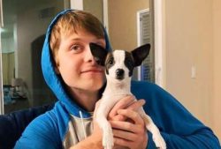 Chipins would probably do well with a cat, but they can be aggressive toward other dogs they don ...