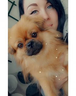 The care is not difficult, and given that Tibetan spaniels love communication, these procedures  ...