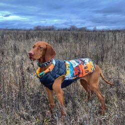 The ancestors of these pets lived on the territory of Hungary more than 1000 years ago, and the  ...