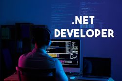 Hire .Net Developer India