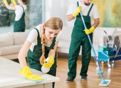 Activa Cleaning Services Melbourne – Cleaning Companies, Contractors