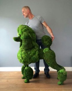 Poodle,Andreas Verheijen,topiary,